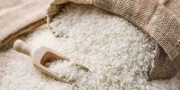 सरकार ने 1.6 लाख करोड़ रुपये एमएसपी पर खरीदा 520.6 लाख टन चावल