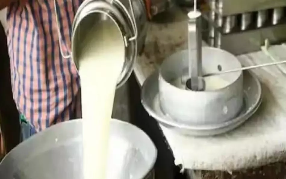मध्यप्रदेश में प्रतिदिन प्रति व्यक्ति 591 ग्राम दूध की उपलब्धता, राष्ट्रीय औसत 444 से 147 ग्राम अधिक