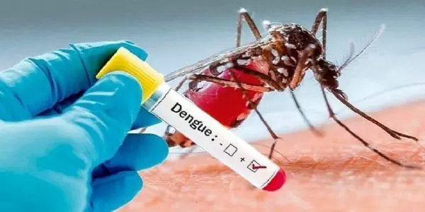 मुरादाबाद : 27 और मरीज डेंगू से संक्रमित, जिले में अब तक 275 मरीज पॉजीटिव
